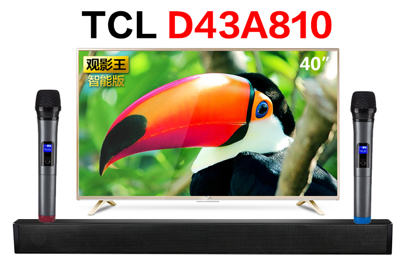 TCL D43A810智能电视如何接麦克风k歌（麦巢回音壁麦克风套装）