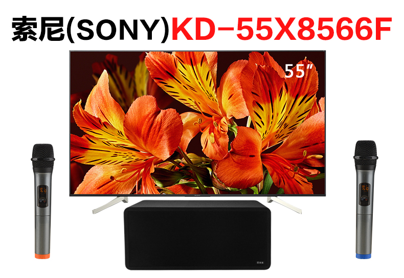 索尼(SONY)KD-55X8566F智能电视机怎么连接话筒K歌（S10）